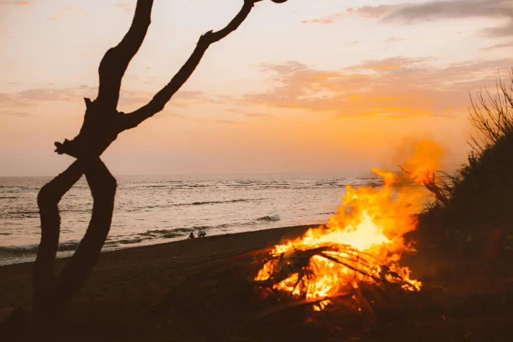 Campfire on beach during sunset time