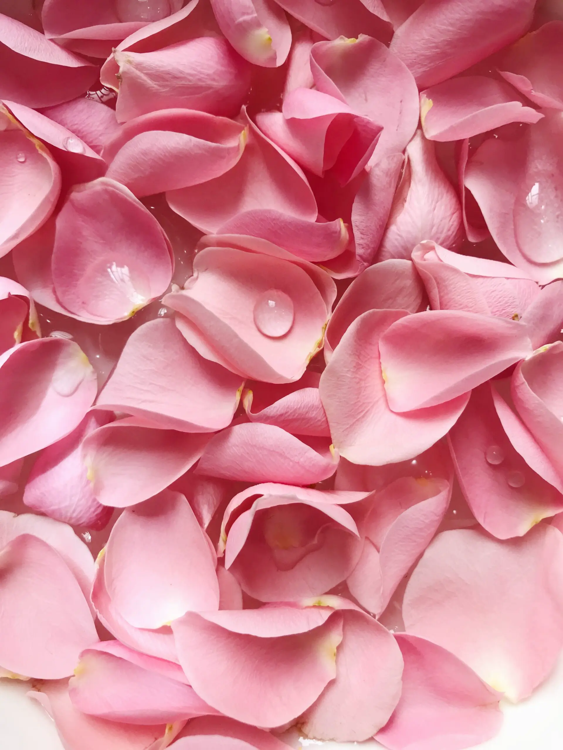 rose petals can add to the mood or rose petals can help hype you up