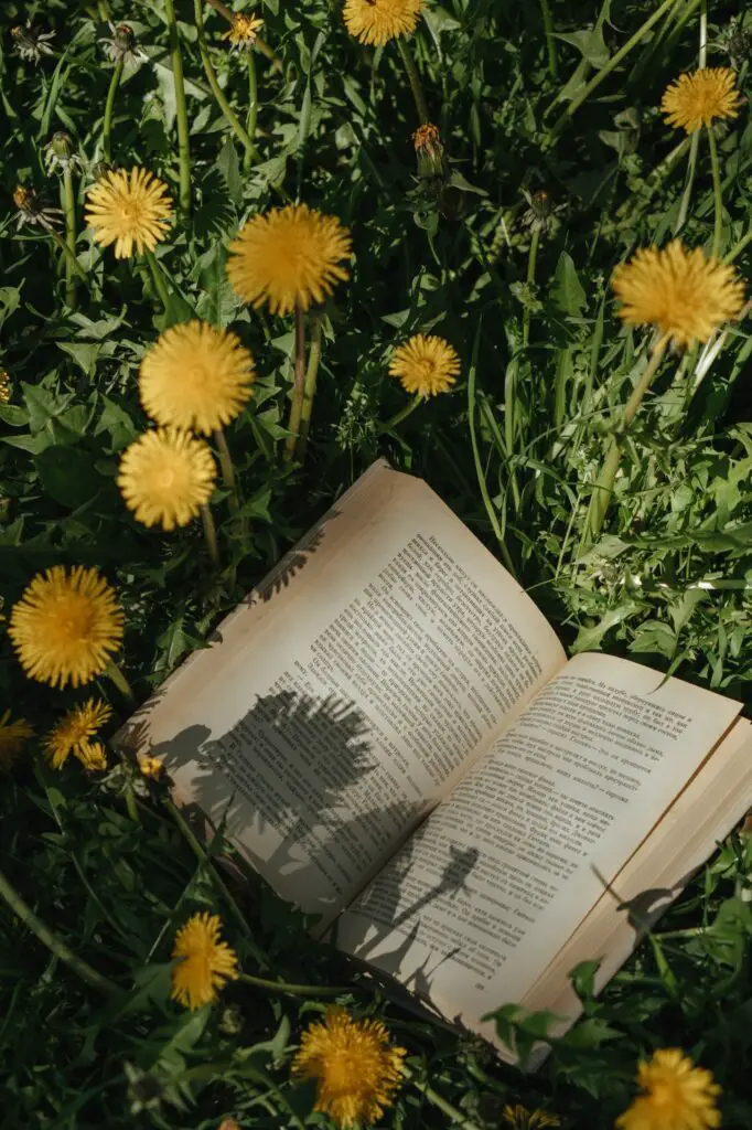 Book lying in grass among dandelions